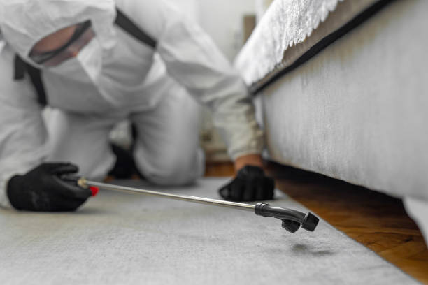 Professional Fumigation Services technician working in Greenville, RI