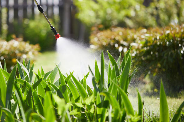 24/7 Emergency Fumigation Services experts in Greenville, RI