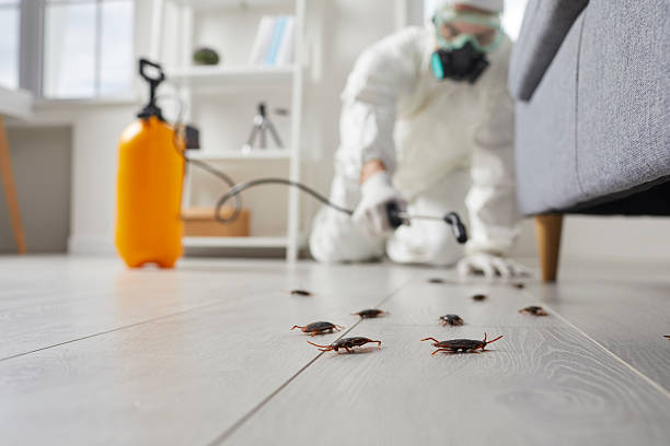 Trusted Fumigation Services service in Greenville, RI - Nex Pest Control