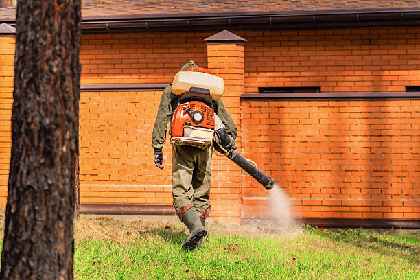 Trusted Cockroach Control service in Greenville, RI - Nex Pest Control
